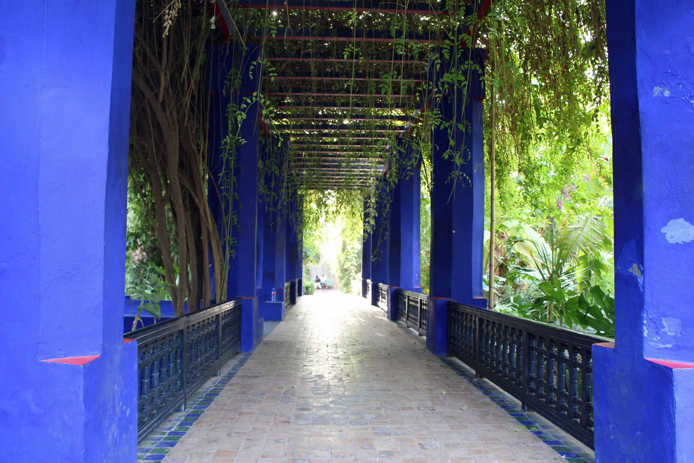 Marrakech, jardin Majorelle, pont