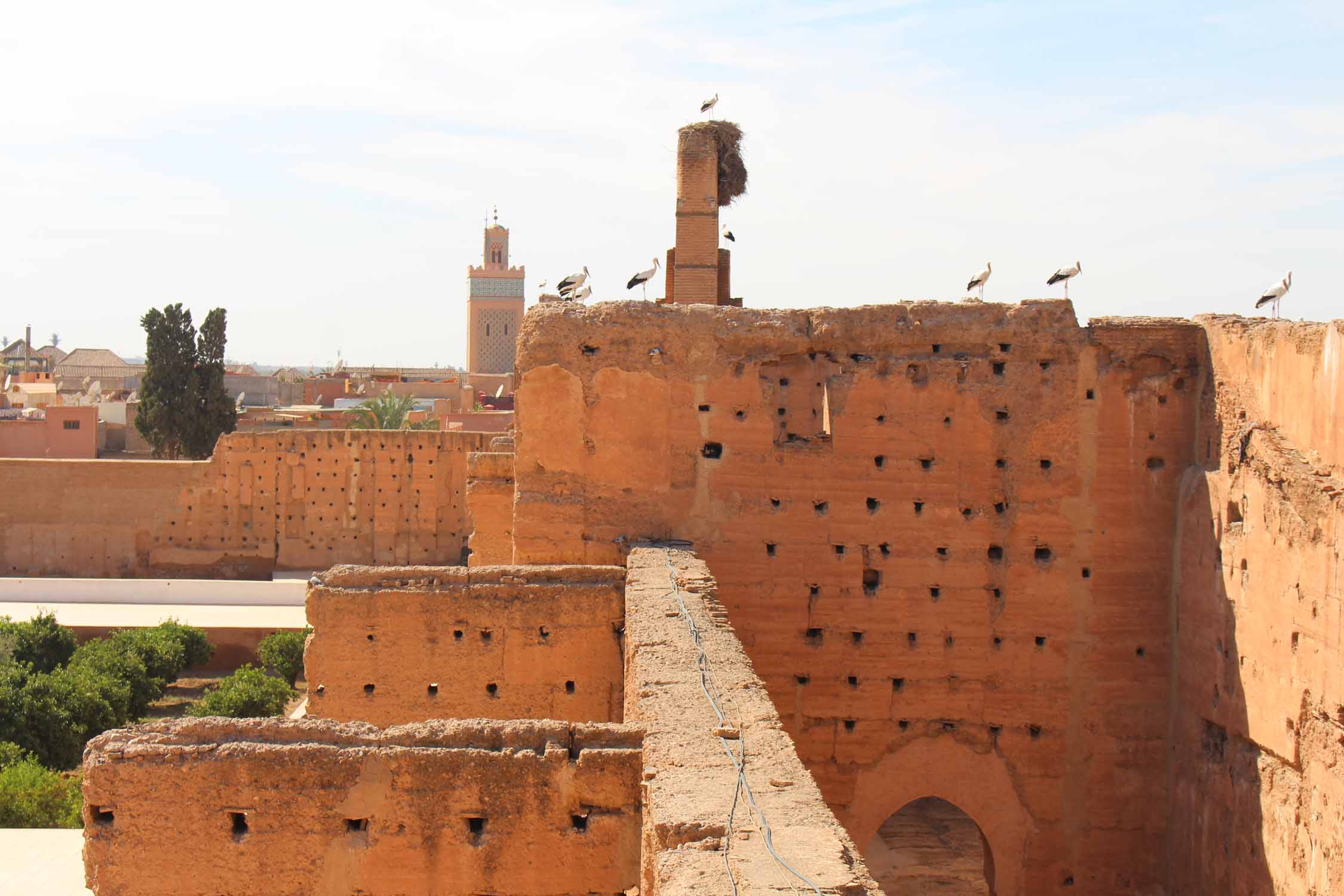 Marrakech, palais el Badi, cigognes