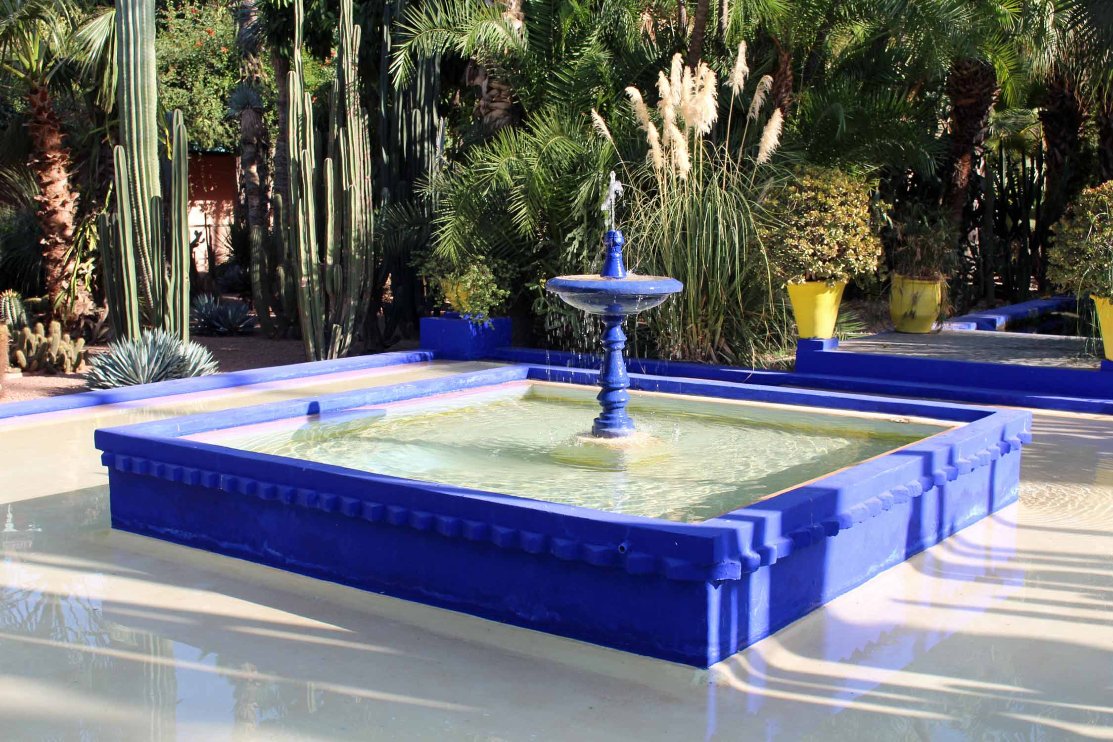 Marrakech, jardin Majorelle