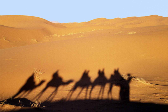 Dunes de Merzouga, ombre