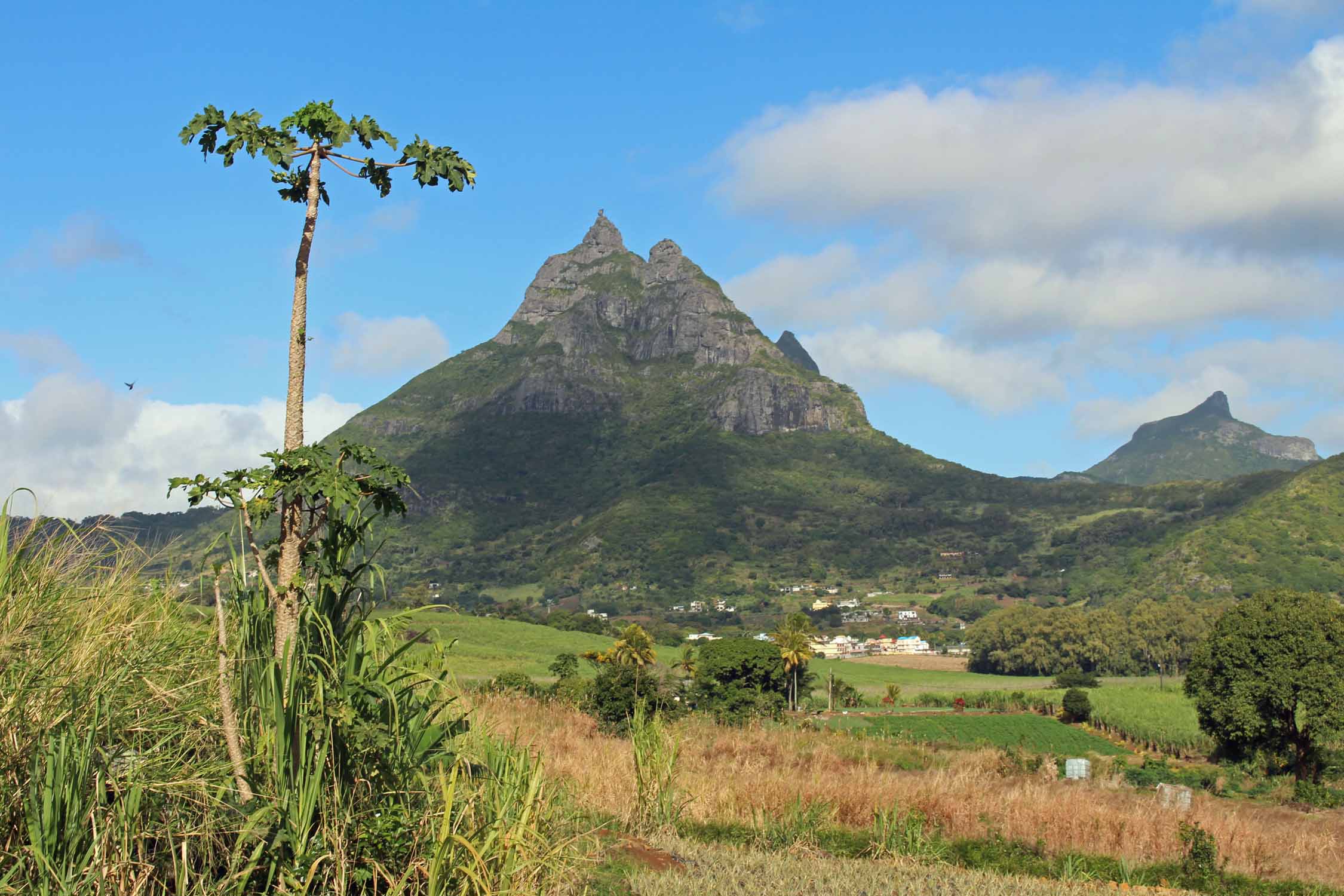 Pieter Both, île Maurice