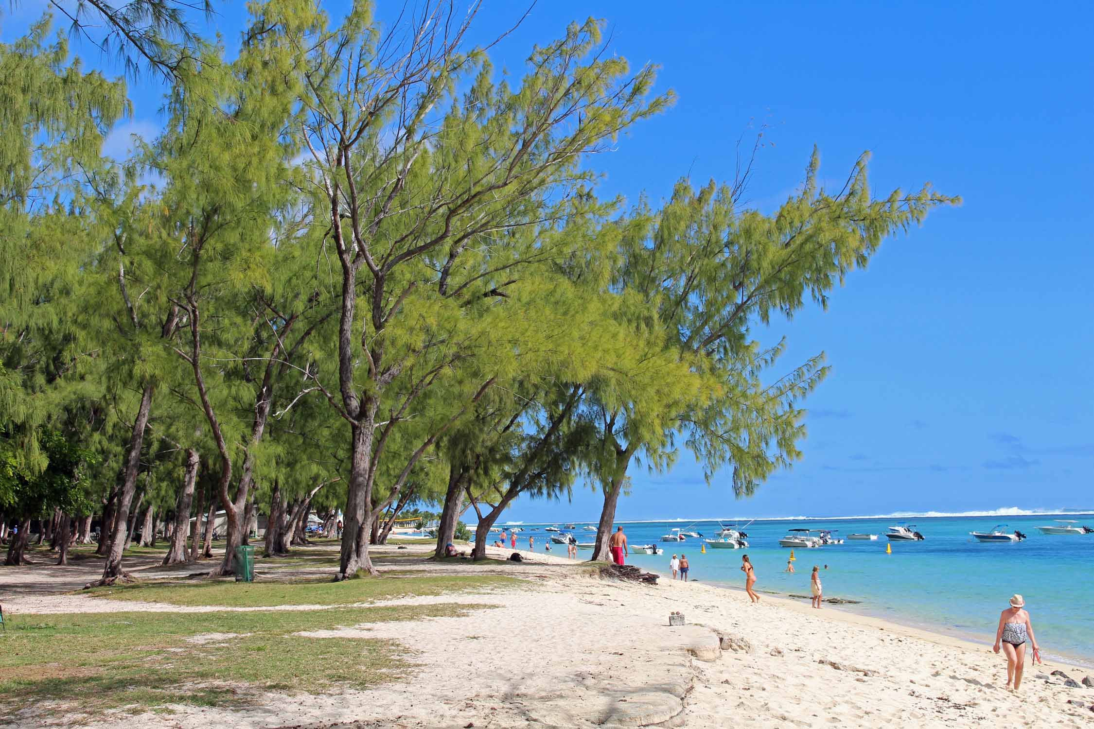 Ile Maurice, Le Morne, plage, filaos