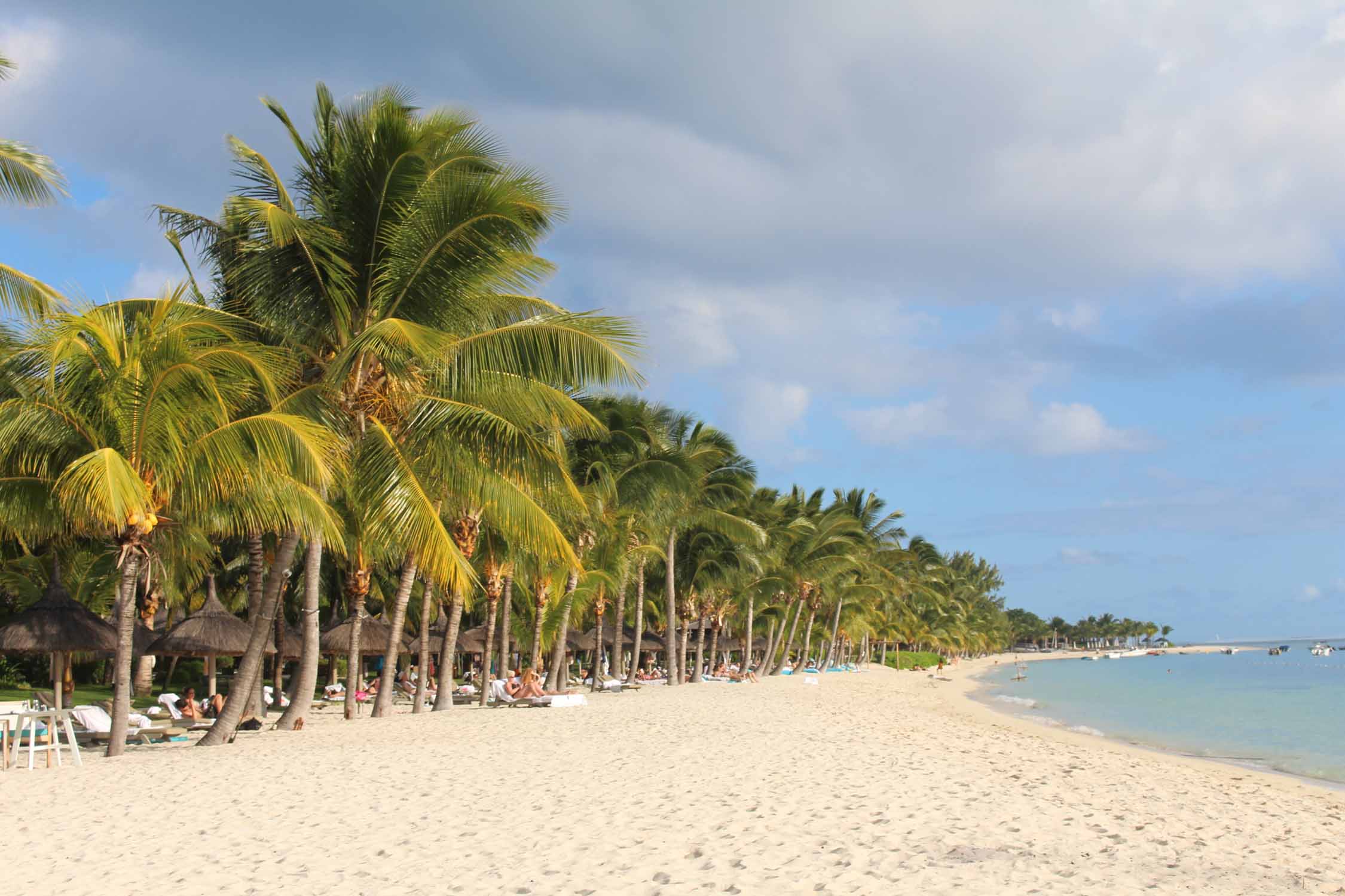 Ile Maurice, Le Morne Brabant, plage, palmiers