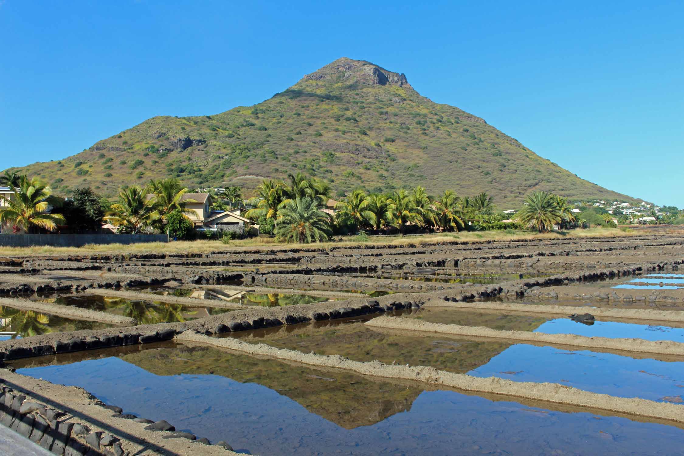 Ile Maurice, Tamarin, marais salants