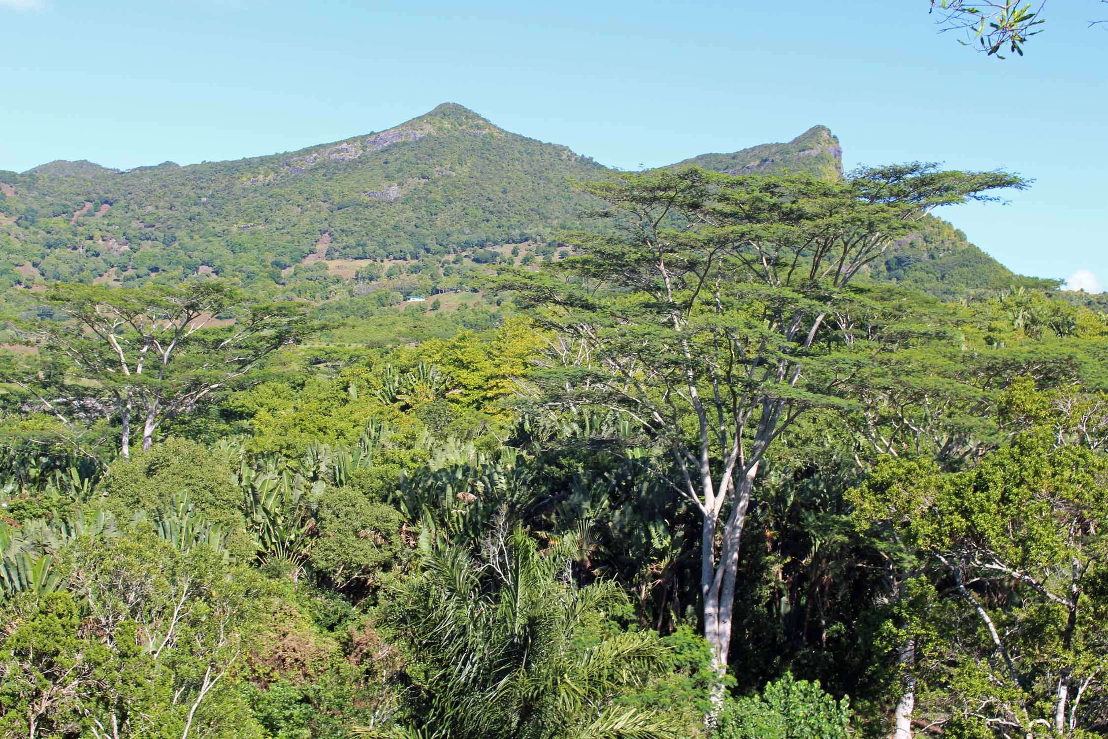 Ile Maurice, Chamarel, paysage