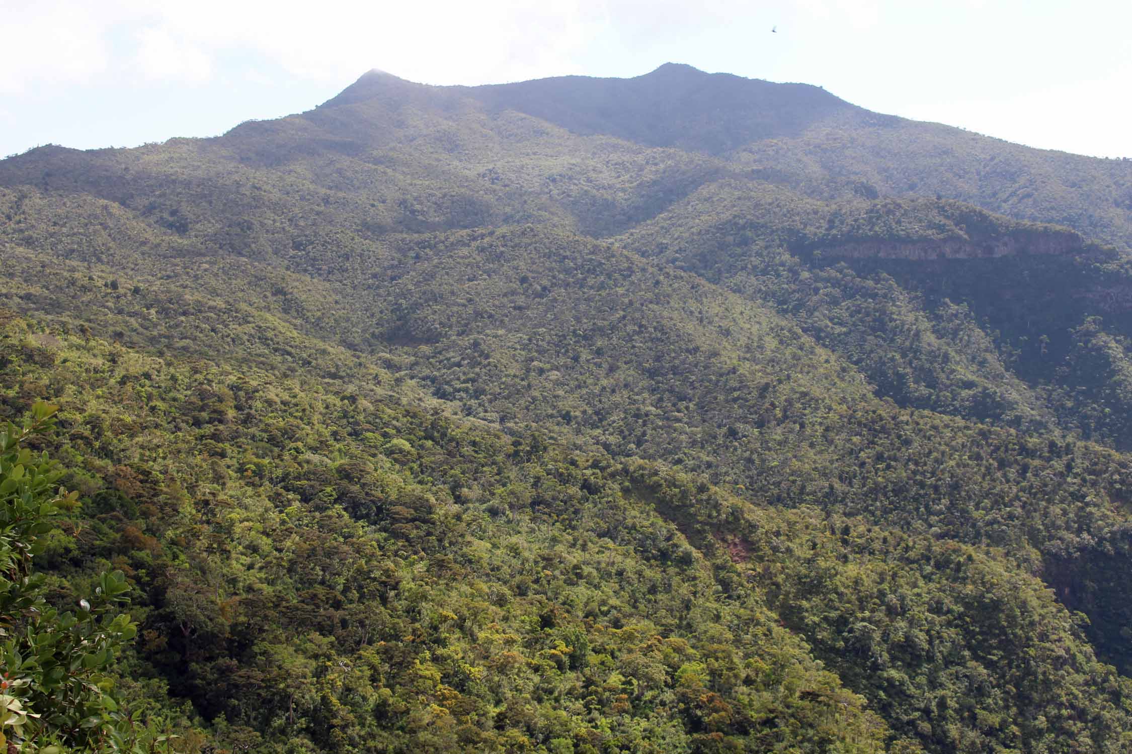 Ile Maurice, piton de la Petite Rivière Noire