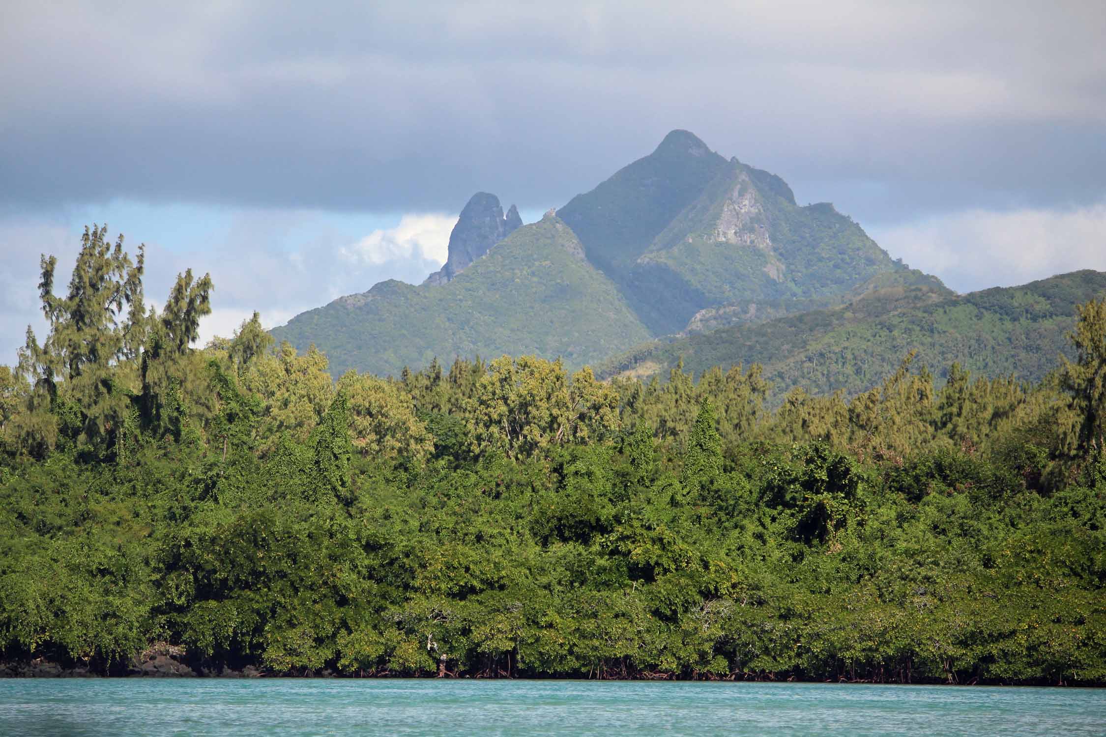 Ile Maurice, montagne Bambous