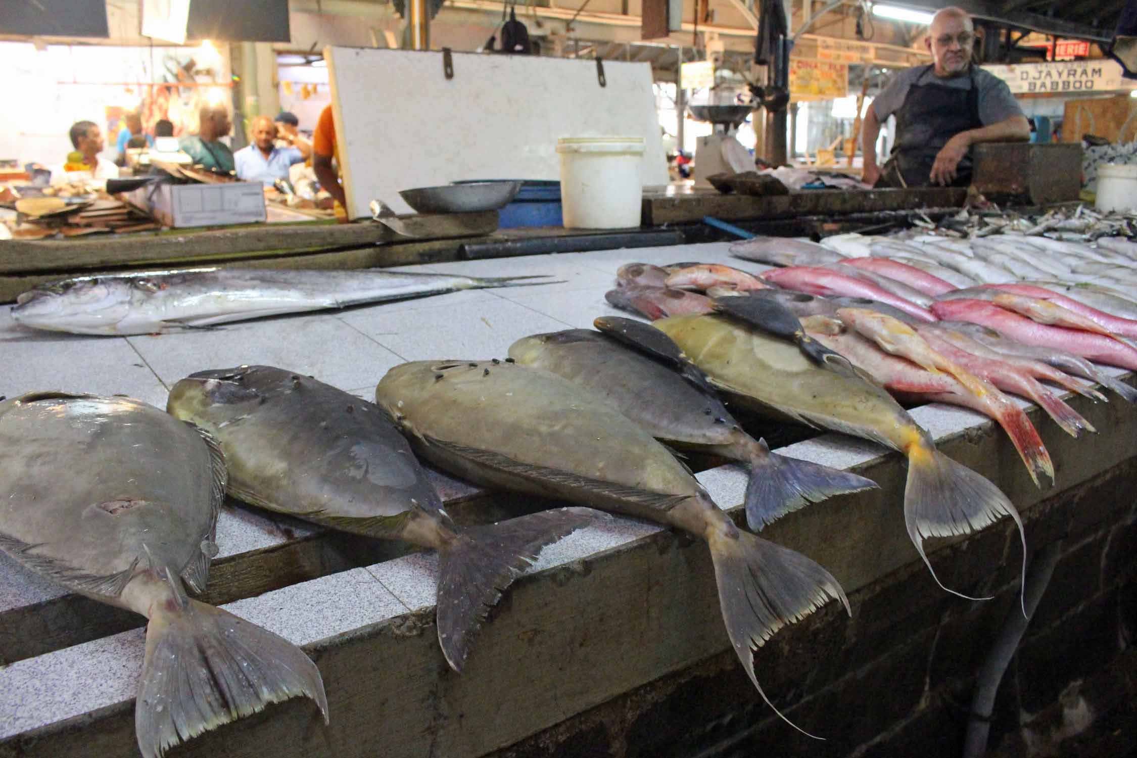 Ile Maurice, Port Louis, marché, poissons