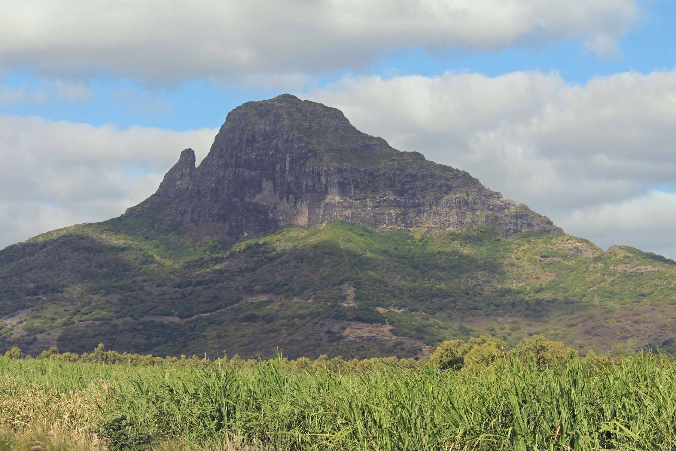 Ile Maurice, montagne du Rempart