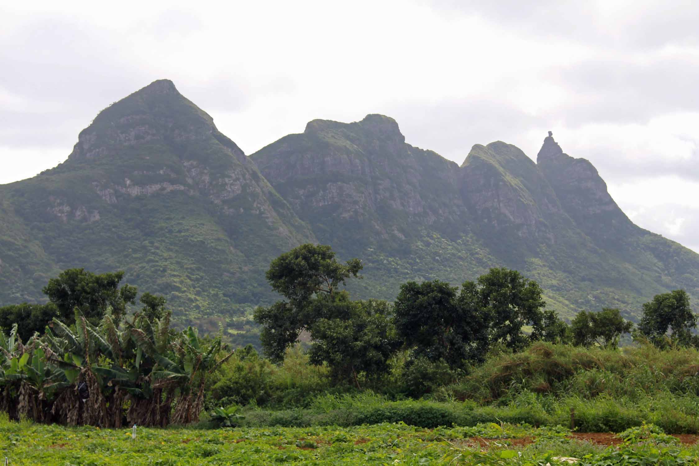 Ile Maurice, montagnes; paysage, Moka