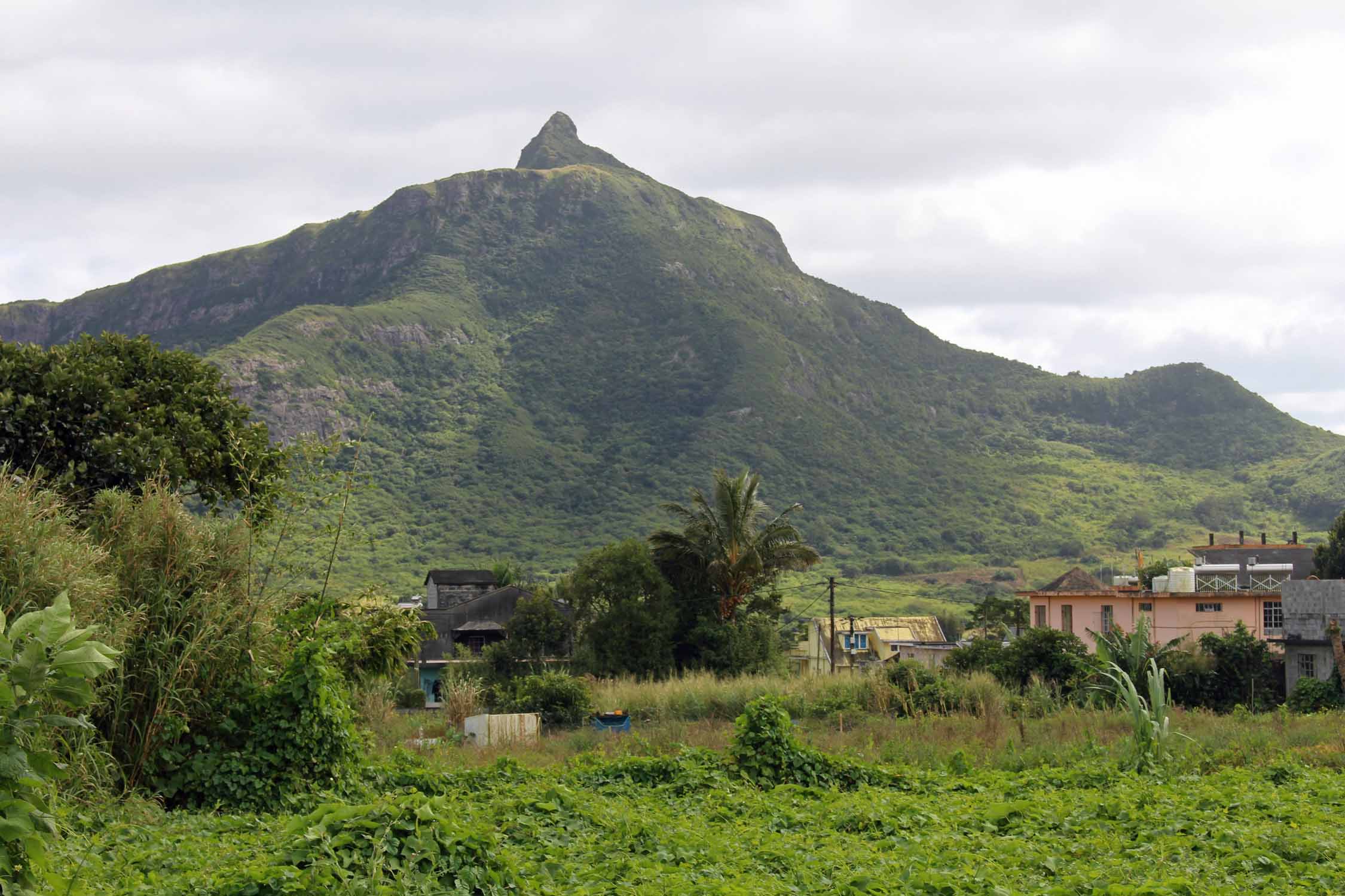 Ile Maurice, montagne, Le Pouce