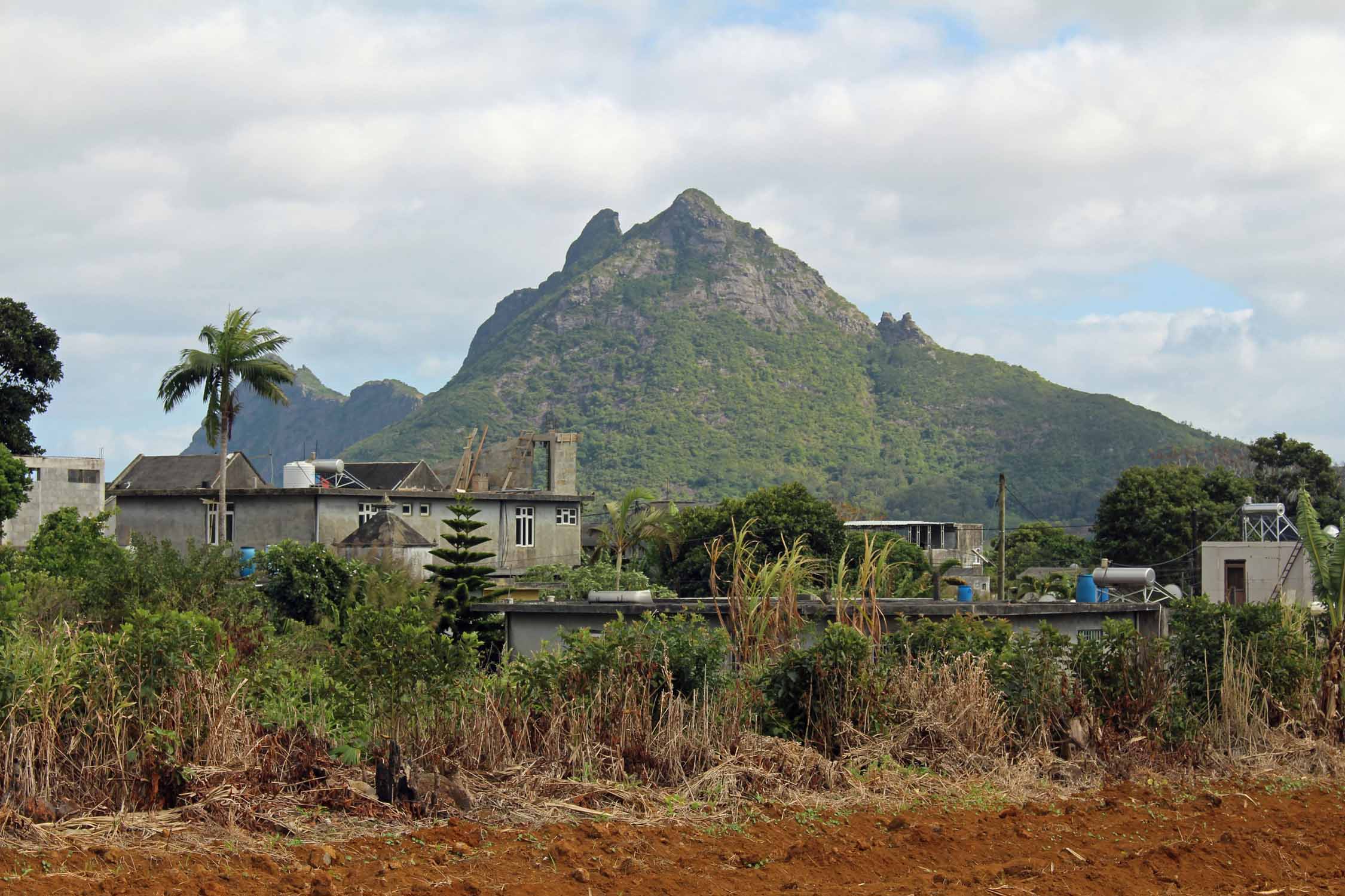 Ile Maurice, paysage, Saint-Pierre