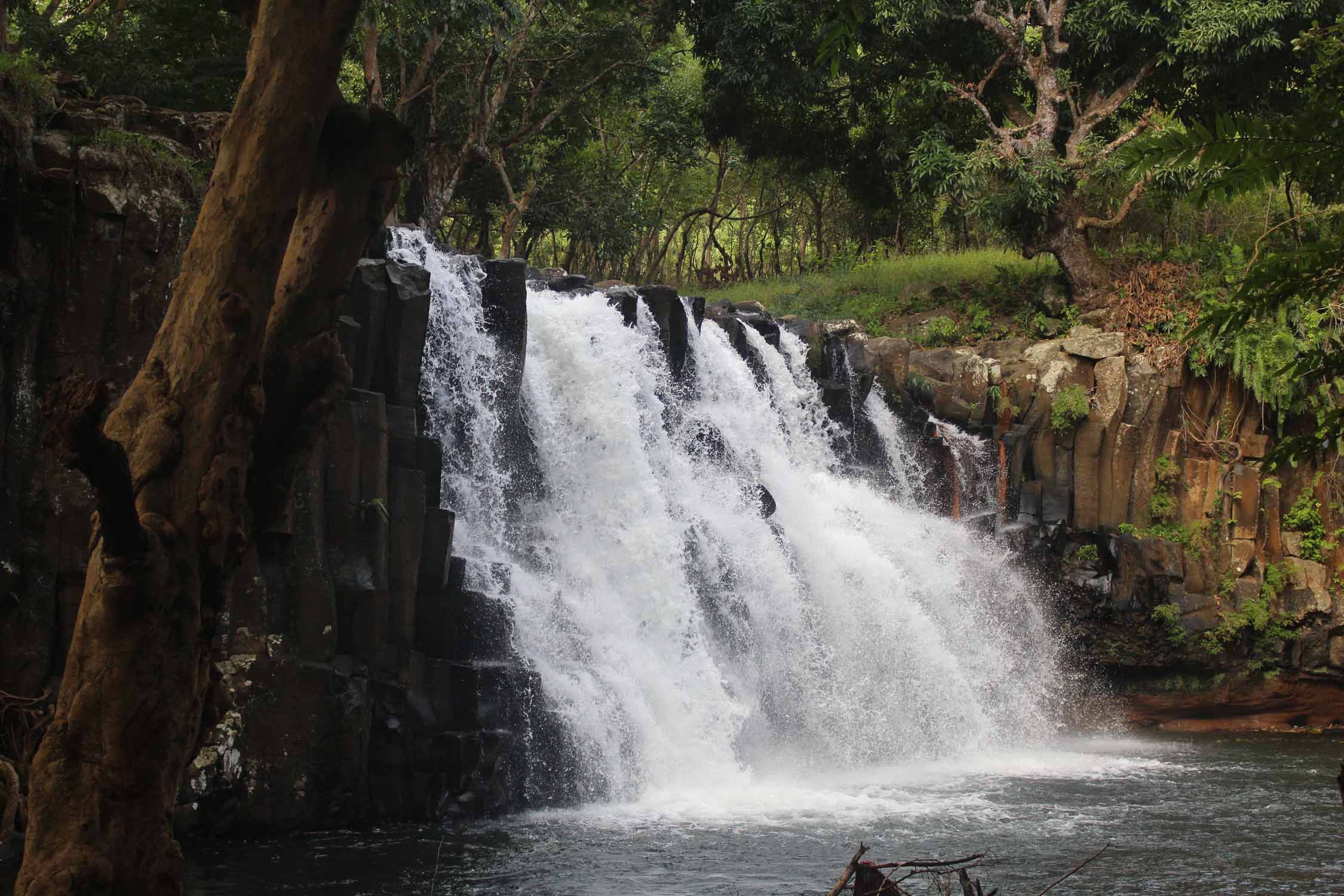 Ile Maurice, cascade de Rochester