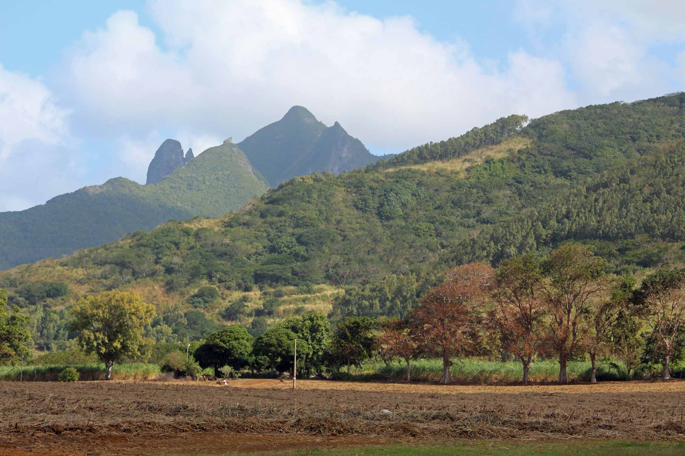 Ile Maurice, Grande Rivière Sud Est, paysage