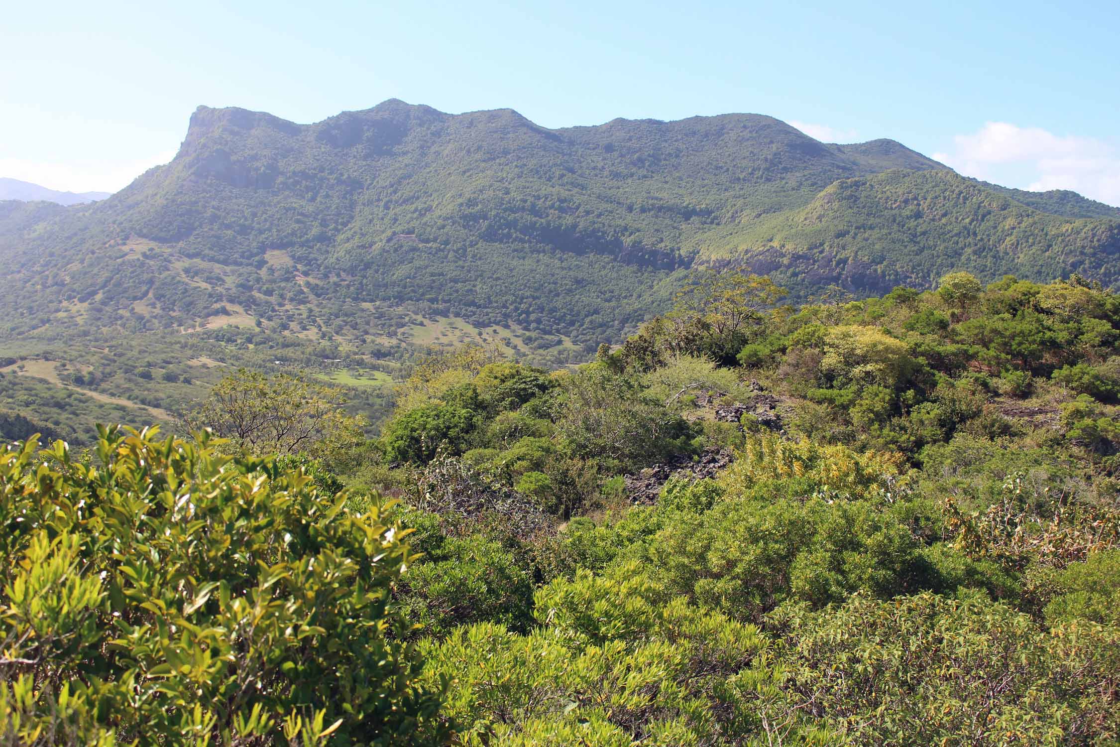 Ile Maurice, Le Morne Brabant, piton du Canot