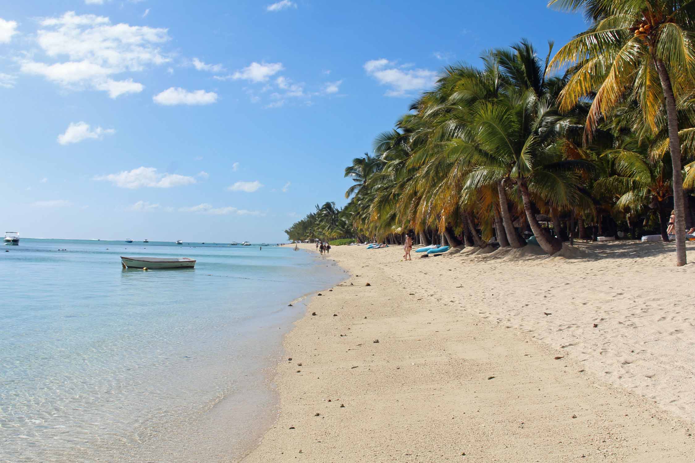 Ile Maurice, Le Morne, plage, palmiers