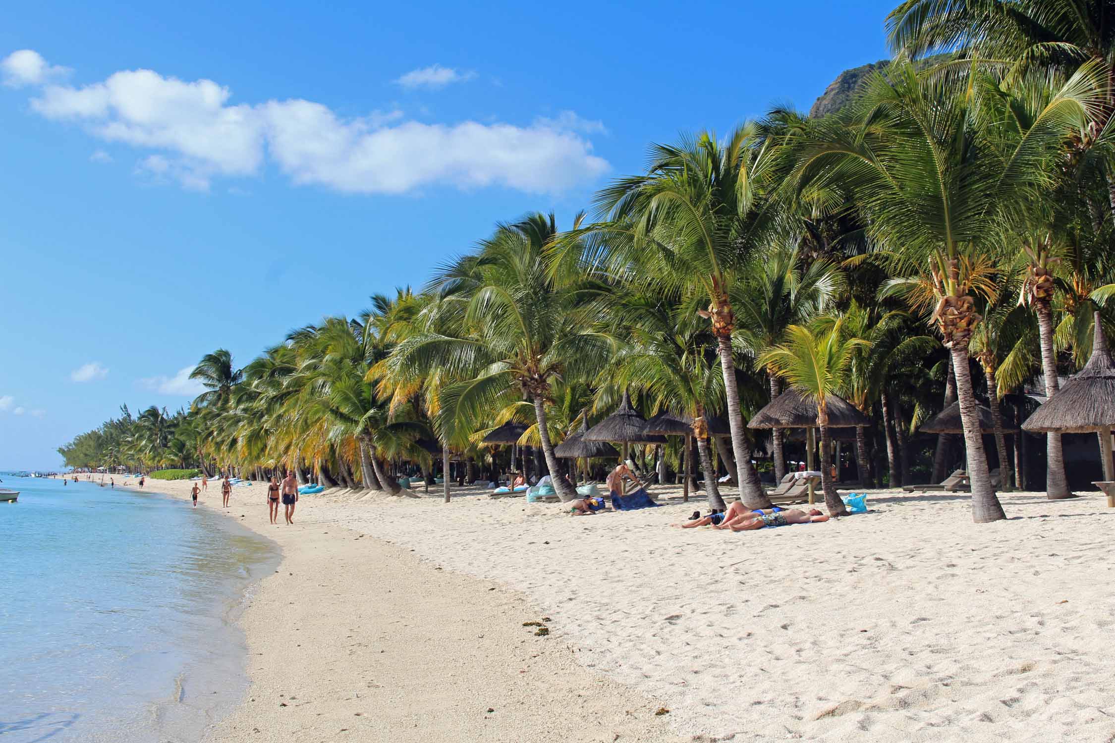 Ile Maurice, Le Morne, plage, palmiers, sable blanc