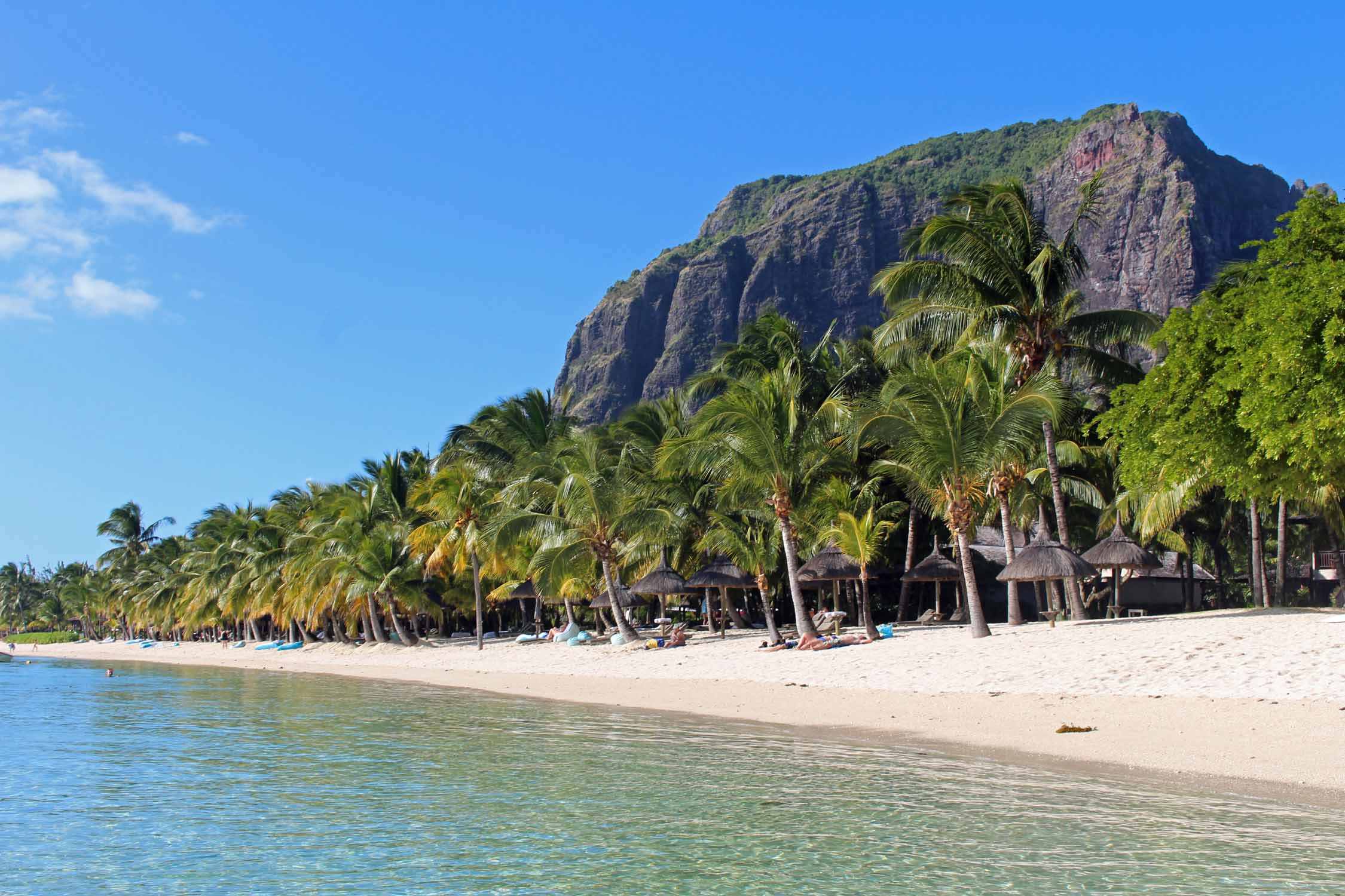 Ile Maurice, Le Morne Brabant, palmiers, sable blanc