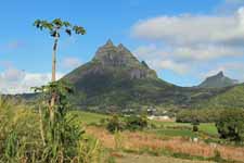 Pieter Both, &icirc;le Maurice