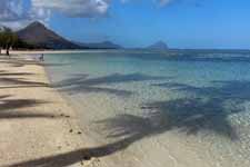 Ile Maurice, Flic en Flac, plage, palmier