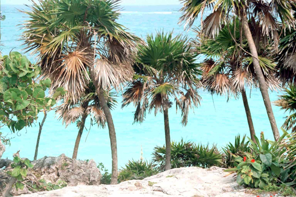 Tulum, Caraïbes