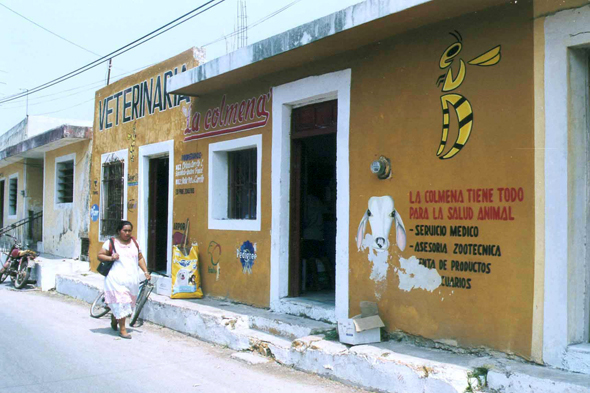 Izamal, vétérinaire