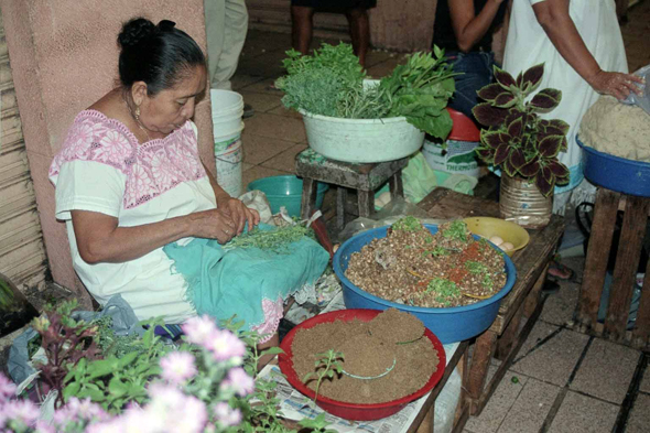 Mérida, Yucatan, marché