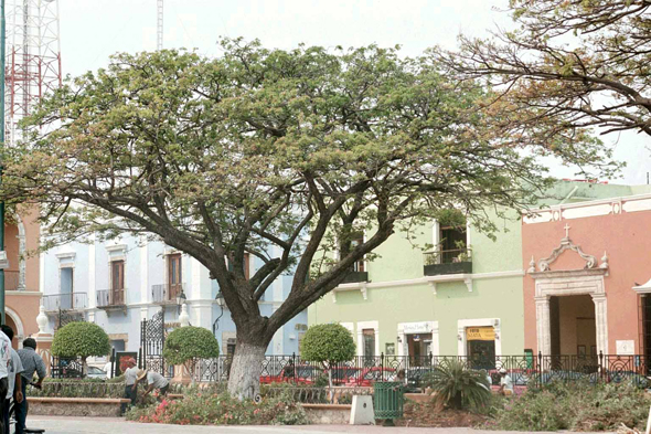 Campeche, Mexique, Plaza Mayor