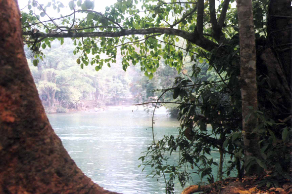 Cascade Agua Azul, Mexique