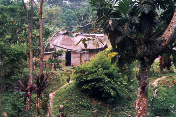 Village, Yucatan, Agua Azul