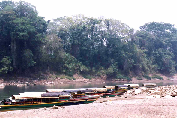 Rio Usumacinta, pirogue