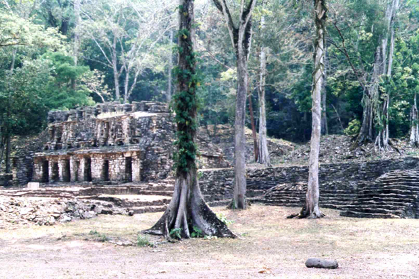 Site de Yaxchilán