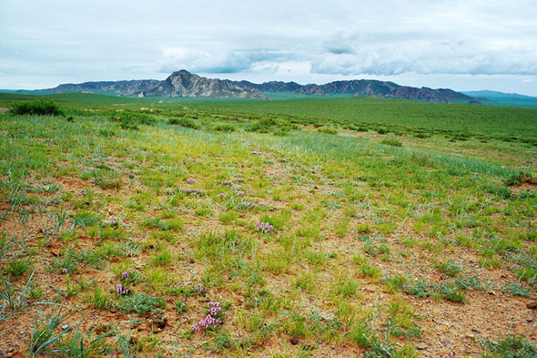 Zorgol Khaikhan, paysage