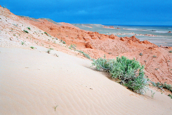 Bayandzag, Mongolie