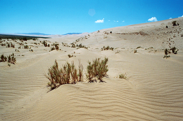 Mongolie, Désert de Gobi, dunes