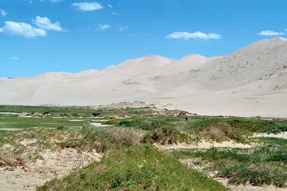 Hangorin Els, dunes, Mongolie