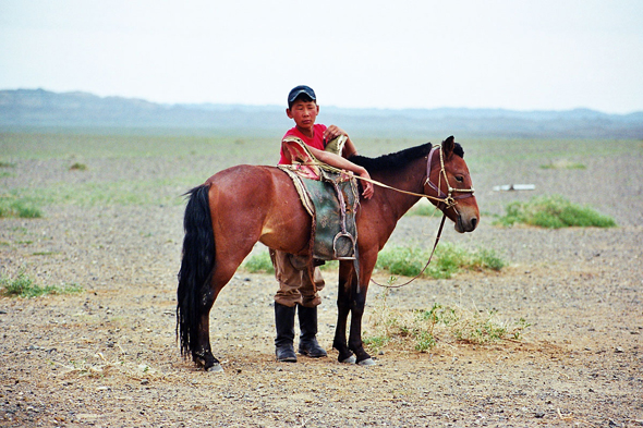 Désert de Gobi, nomade, cheval