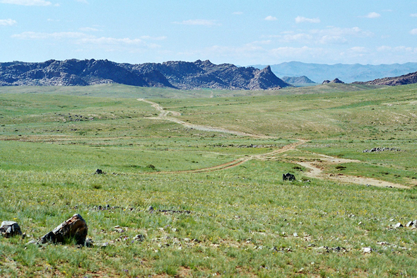 Khangaï, steppe boisee