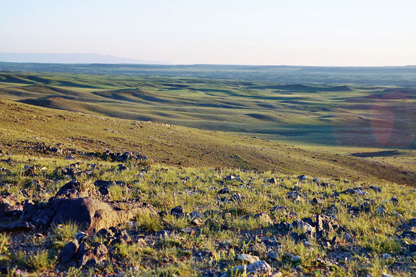 Khangaï, Mongolie