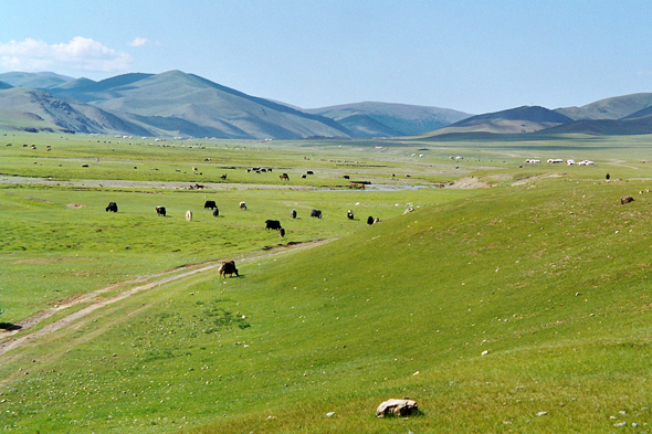 Vallée d'Uyanga