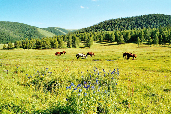 Mongolie, Ovt, collines