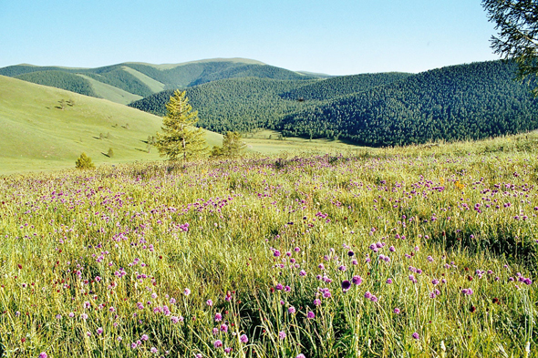 Ovt, paysage