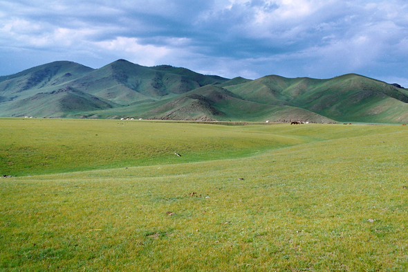 Vallée de l'Orhon, Mongolie