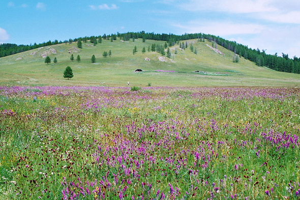 Tovkhon, paysage