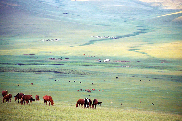 Orhon, Mongolie, paysage