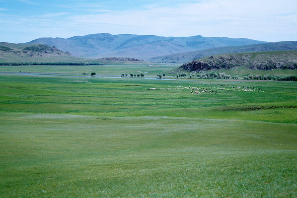 Mongolie, éleveur nomade