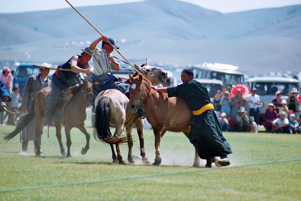 Karakorum, dressage