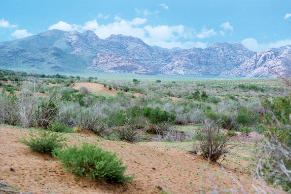 Elsentasarkhai, paysage