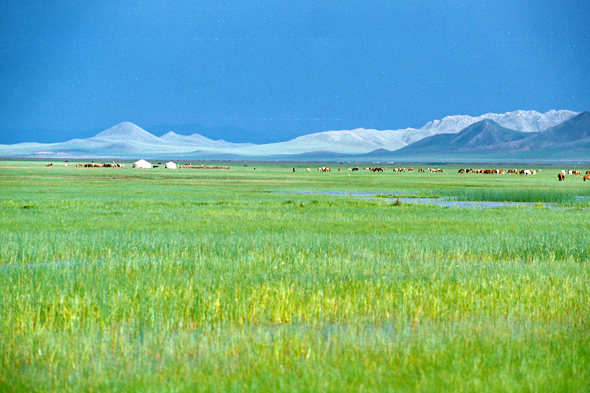 Mongolie, Elsentasarkhai, paysage