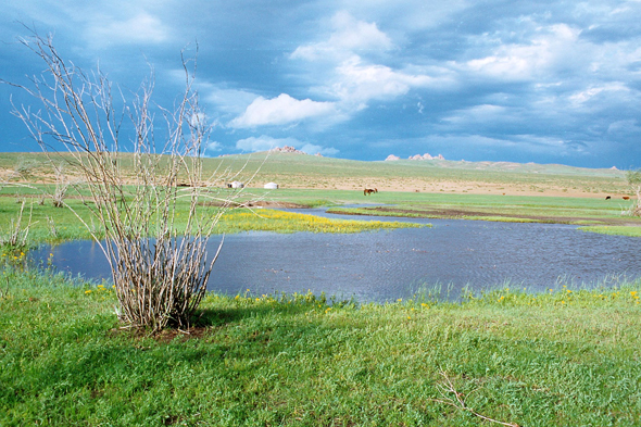 Elsentasarkhai, Mongolie, beau paysage